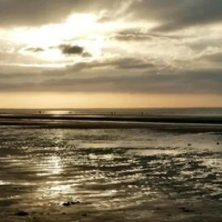 Pretty Cosy Pearl Close To The Sea *